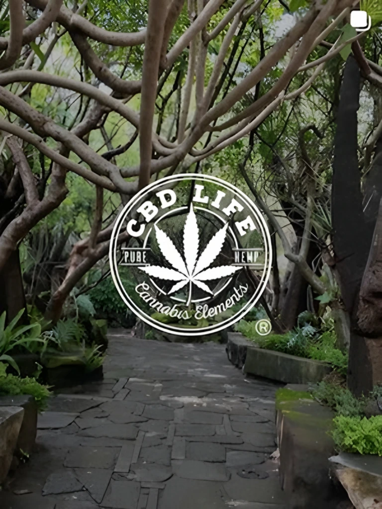 Logo de CBD Life sobre un sendero de jardín